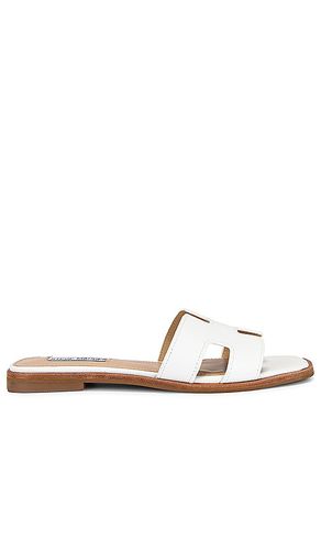 Sandalia hadyn en color blanco talla 5.5 en - White. Talla 5.5 (también en 6.5, 7.5, 8, 9) - Steve Madden - Modalova