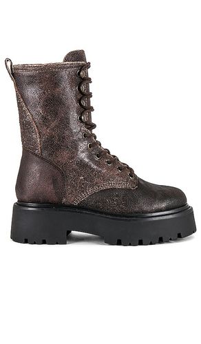 Botas militares rowen en color chocolate talla 6.5 en - Chocolate. Talla 6.5 (también en 7.5) - Steve Madden - Modalova