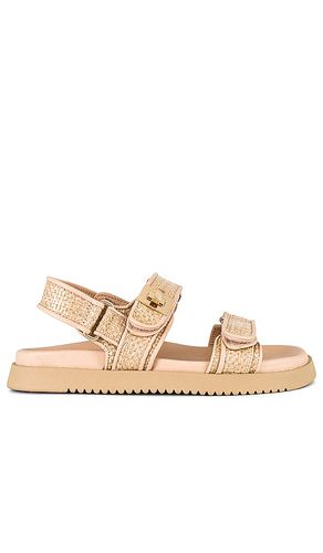 Sandalia mona en color neutral talla 10 en - Neutral. Talla 10 (también en 6, 6.5, 7, 7.5, 8, 8.5, 9) - Steve Madden - Modalova