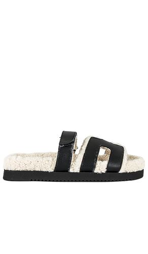 Mayven Sandal in . Size 9.5 - Steve Madden - Modalova