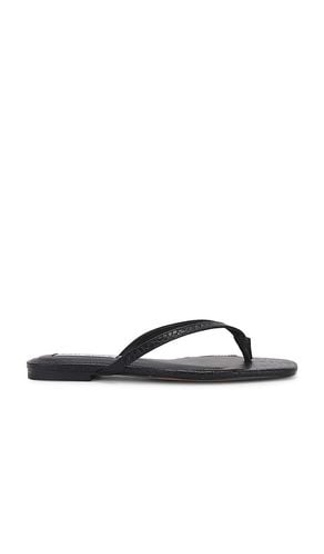 Chanclas marnie en color talla 10 en - Black. Talla 10 (también en 6, 6.5, 7, 7.5, 8, 8.5) - Steve Madden - Modalova