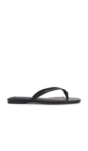 Chanclas marnie en color talla 6 en - Black. Talla 6 (también en 6.5, 7.5, 8, 8.5) - Steve Madden - Modalova