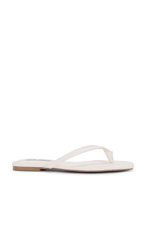 Chanclas marnie en color blanco talla 10 en - White. Talla 10 (también en 6.5, 7.5, 9) - Steve Madden - Modalova