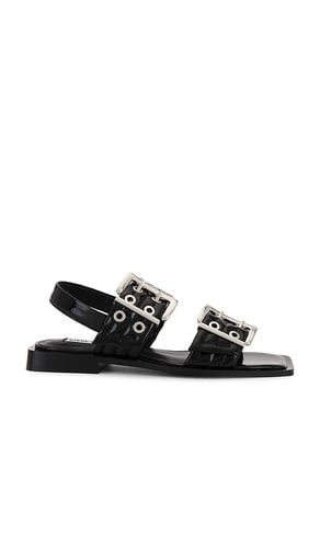 Sandria Sandal in . Size 6.5, 7, 7.5, 8, 8.5 - Steve Madden - Modalova