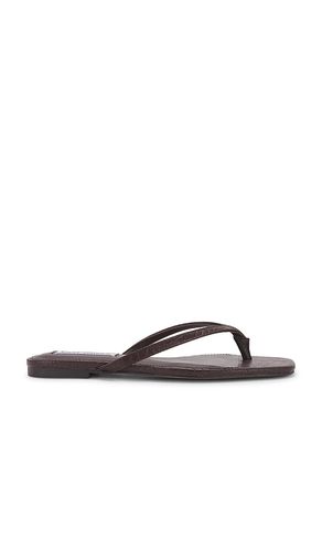 Marnie Flip Flops in . Size 6.5, 7, 7.5, 8, 8.5, 9.5 - Steve Madden - Modalova