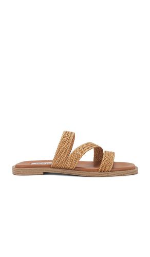 Sandalia parkley en color bronce talla 10 en - Tan. Talla 10 (también en 11, 6, 7, 9) - Steve Madden - Modalova