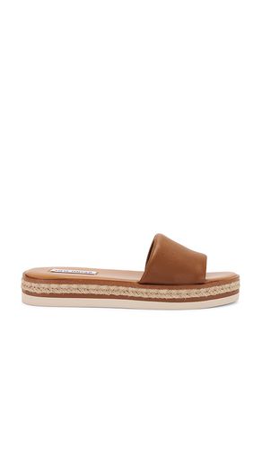 Pasador enough en color marrón talla 10 en - Brown. Talla 10 (también en 6, 6.5, 7, 7.5, 8, 8.5, 9, 9.5) - Steve Madden - Modalova