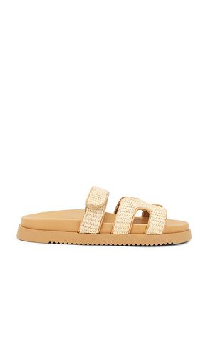 Mayven Sandal in in . Size 6.5, 7.5, 8, 8.5, 9, 9.5 - Steve Madden - Modalova