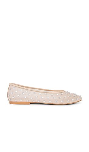 Viv Flat in . Taglia 6, 6.5, 7.5, 8, 8.5, 9, 9.5 - Steve Madden - Modalova