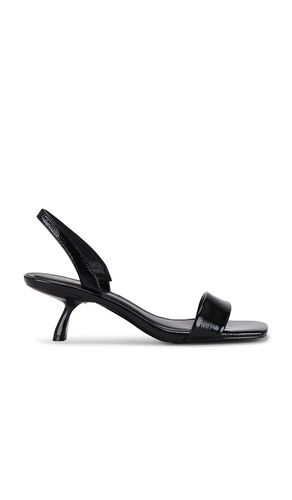 Sandalia en color negro talla 5.5 en - Black. Talla 5.5 (también en 6, 6.5, 7, 7.5) - Steve Madden - Modalova