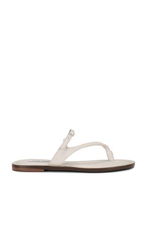 Roca Sandal in . Taglia 6, 6.5, 7, 7.5, 8, 8.5, 9, 9.5 - Steve Madden - Modalova