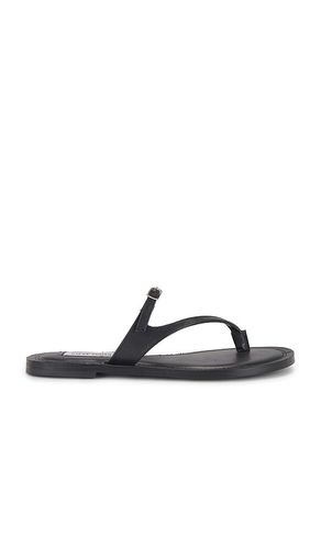 Roca Sandal in . Size 6, 6.5, 7, 7.5, 8, 8.5, 9, 9.5 - Steve Madden - Modalova