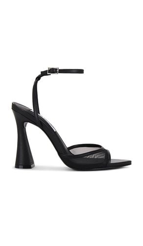 Beki Heel in . Taglia 7, 7.5, 8.5, 9.5 - Steve Madden - Modalova