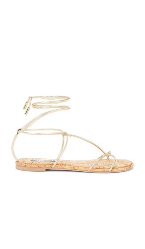 Myrtle Sandal in . Size 5.5, 6, 6.5, 7, 7.5, 8, 8.5, 9, 9.5 - Steve Madden - Modalova