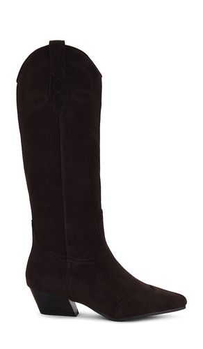 BOOT DOLLIE in . Size 11, 6, 6.5, 7, 7.5, 8, 8.5, 9 - Steve Madden - Modalova