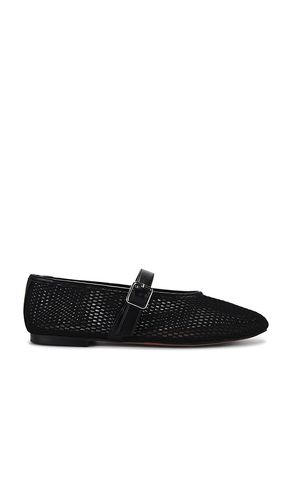 Zapato plano dreaming en color negro talla 10 en - Black. Talla 10 (también en 6.5, 9, 9.5) - Steve Madden - Modalova