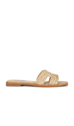 Hadyn Sandal in . Size 6. Also in 9, 9.5 - Steve Madden - Modalova