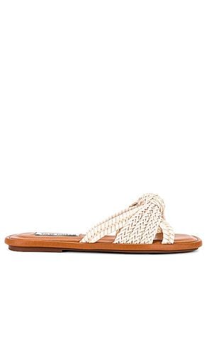 Sandalia kandace en color blanco talla 10 en - White. Talla 10 (también en 6, 6.5, 7, 7.5, 8.5, 9.5) - Steve Madden - Modalova