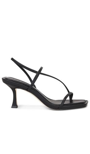 Tacón locke en color talla 6.5 en - Black. Talla 6.5 (también en 7.5, 9.5) - Steve Madden - Modalova