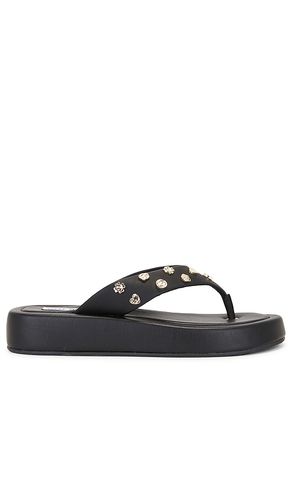 Chanclas kylen-c en color negro talla 10 en - Black. Talla 10 (también en 6.5, 7.5, 8, 8.5, 9.5) - Steve Madden - Modalova