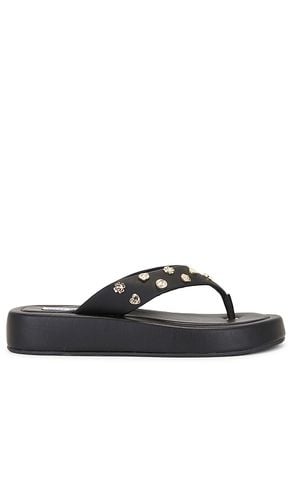 Chanclas kylen-c en color negro talla 10 en - Black. Talla 10 (también en 6, 6.5, 7.5, 8, 8.5, 9.5) - Steve Madden - Modalova