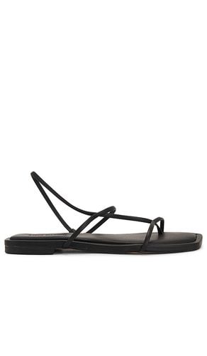 Lynley Sandal in . Size 7, 8.5, 9.5 - Steve Madden - Modalova