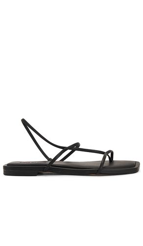 Sandalia lynley en color talla 10 en - Black. Talla 10 (también en 7.5, 8, 8.5, 9.5) - Steve Madden - Modalova