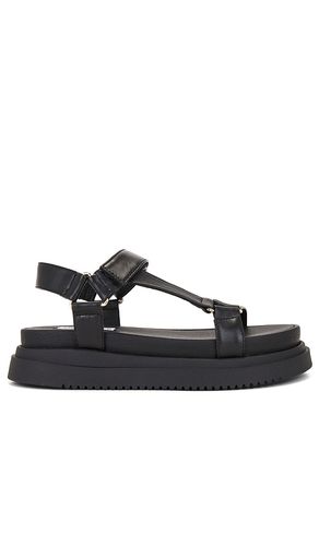 Sandalia matina en color negro talla 10 en - Black. Talla 10 (también en 6.5, 7.5, 8.5, 9, 9.5) - Steve Madden - Modalova