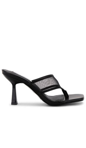 Tacón rabin-m en color negro talla 10 en - Black. Talla 10 (también en 6.5, 9.5) - Steve Madden - Modalova