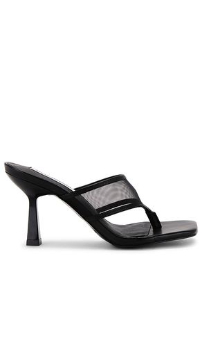 Tacón rabin-m en color negro talla 10 en - Black. Talla 10 (también en 6, 6.5, 7.5, 8, 8.5, 9.5) - Steve Madden - Modalova