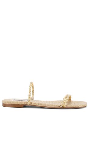 Tahiti Sandal in . Size 8.5, 9.5 - Steve Madden - Modalova