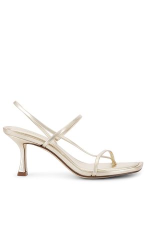 Locke Heel in . Size 10. Also in 5, 6.5, 7, 7.5, 8, 8.5, 9, 9.5 - Steve Madden - Modalova