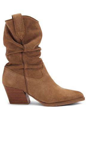 Bota taos en color taupe talla 10 en - Taupe. Talla 10 (también en 11, 5, 6, 8) - Steve Madden - Modalova