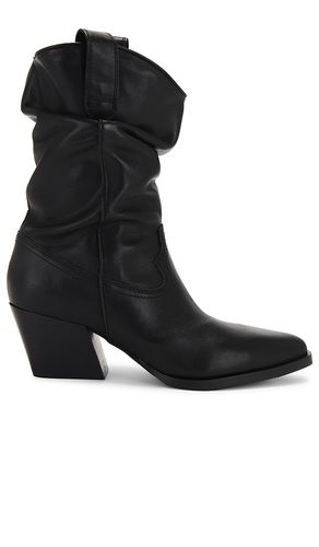 Bota taos en color negro talla 10 en - Black. Talla 10 (también en 11, 5) - Steve Madden - Modalova