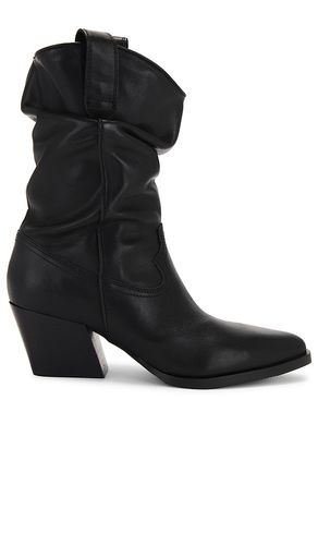 Bota taos en color negro talla 11 en - Black. Talla 11 (también en 5) - Steve Madden - Modalova