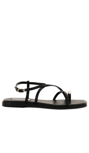 Sandalia vega en color talla 6.5 en - Black. Talla 6.5 (también en 7.5, 8.5, 9.5) - Steve Madden - Modalova