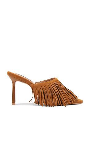 Morina Sandals in . Taglia 6.5, 7, 7.5, 8, 8.5, 9, 9.5 - Steve Madden - Modalova