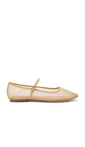 Maple Mary Jane Flat in . Size 6.5, 7.5, 8, 8.5, 9, 9.5 - Steve Madden - Modalova