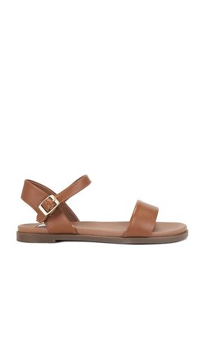 Dina Sandal in . Size 6, 6.5, 7, 7.5, 8, 8.5, 9, 9.5 - Steve Madden - Modalova