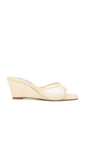 Seleste Sandal in . Size 6. Also in 8.5, 9, 9.5, 10 - Steve Madden - Modalova