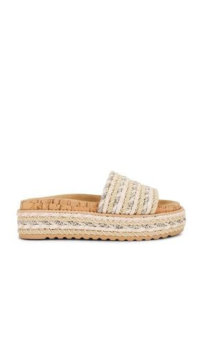 Pasador beller en color neutral talla 10 en - Neutral. Talla 10 (también en 6, 6.5, 7, 7.5, 8, 8.5, 9, 9.5) - Steve Madden - Modalova