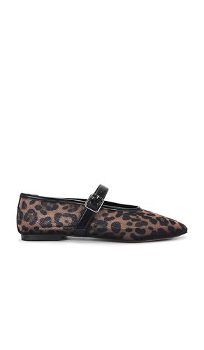 Dreaming Flat in . Taglia 7 - Steve Madden - Modalova