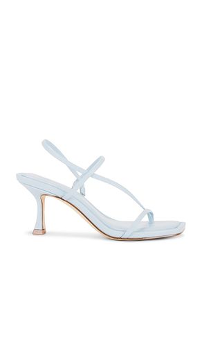 Locke Sandal in . Taglia 6, 6.5, 7.5, 8, 8.5, 9, 9.5 - Steve Madden - Modalova