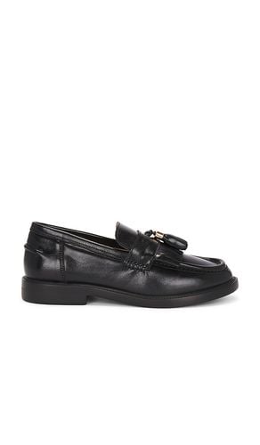 Radcliff Oxford in . Size 6.5, 7, 7.5, 8, 8.5, 9, 9.5 - Steve Madden - Modalova