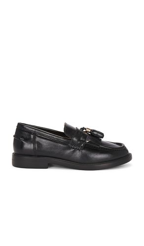 Radcliff Oxford in . Size 6, 6.5, 7, 7.5, 8, 8.5, 9, 9.5 - Steve Madden - Modalova