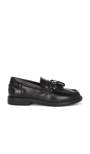 Radcliff Oxford in . Size 7, 7.5, 8.5, 9.5 - Steve Madden - Modalova