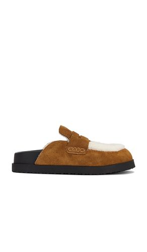Tomlin Clog in . Size 6. Also in 7, 8 - Steve Madden - Modalova
