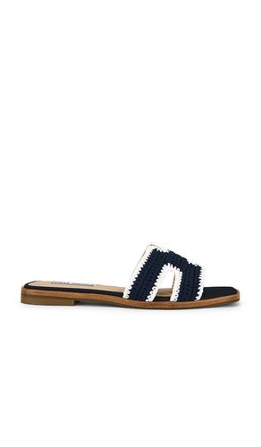 Hadyn Sandal in . Size 6. Also in 7.5, 8.5 - Steve Madden - Modalova
