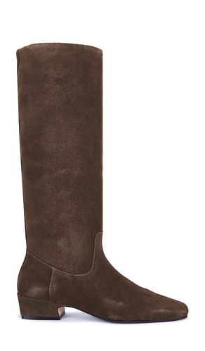 Dantelle Boot in . Size 6. Also in 6.5, 7.5 - Steve Madden - Modalova
