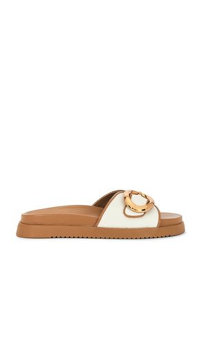 Mandie Slides in . Taglia 5, 6, 6.5, 7, 7.5, 8, 8.5, 9, 9.5 - Steve Madden - Modalova